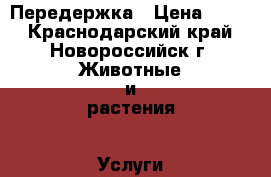 Передержка › Цена ­ 400 - Краснодарский край, Новороссийск г. Животные и растения » Услуги   